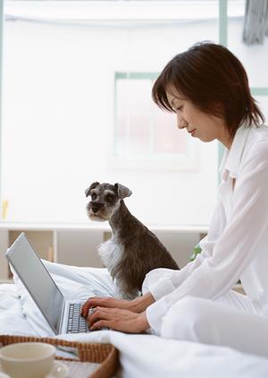 シロアリ駆除のアサンテ：信頼と実績で安心のサービスを提供